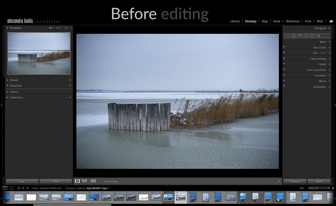 curs foto online site-Before and after Lr Print Screen-1004-before